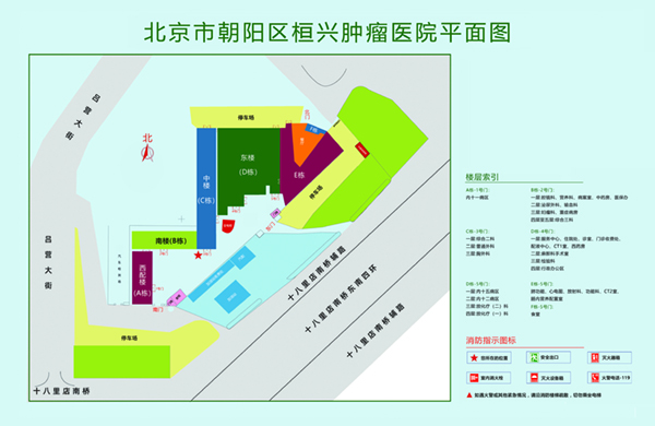 他的大鸡吧弄的我好舒服视频北京市朝阳区桓兴肿瘤医院平面图